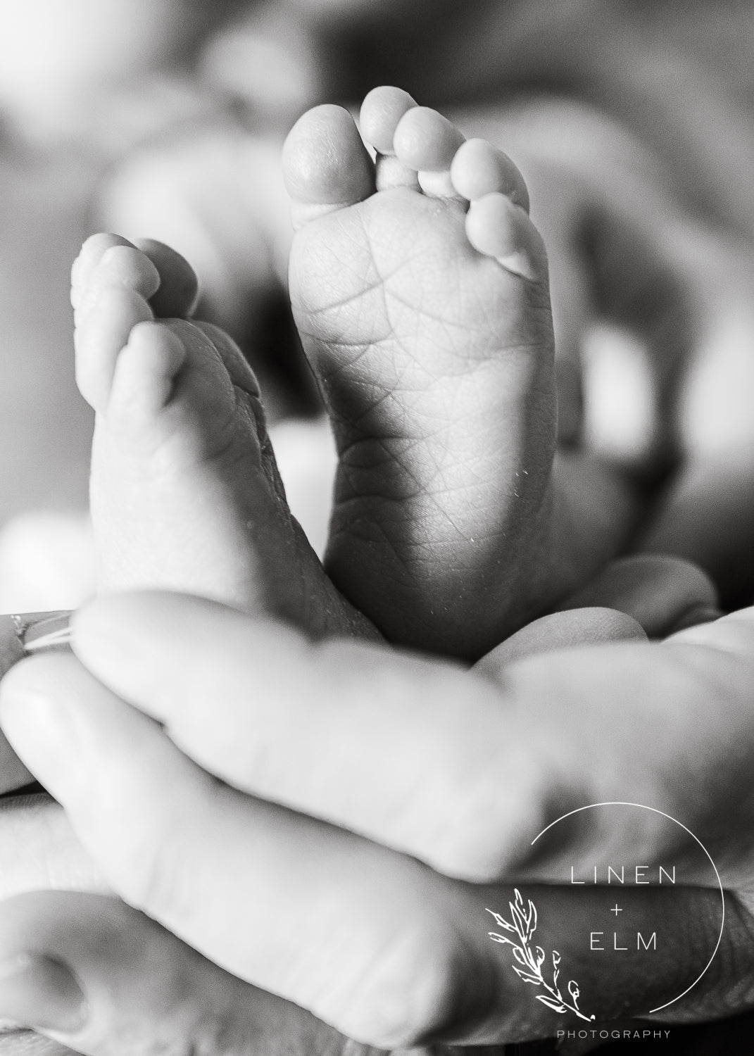 Maternity & Newborn