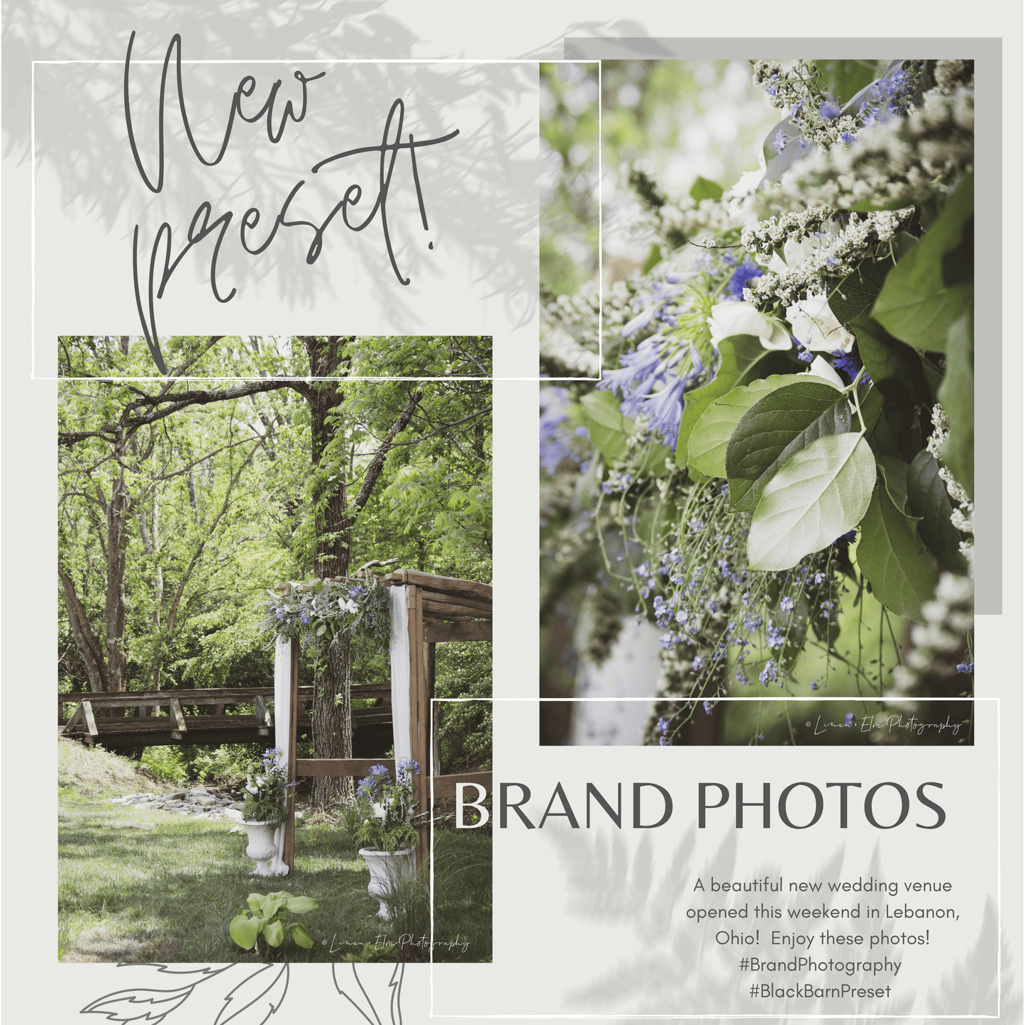 Instagram Puzzle Grid 9-Post Canva Template BRANCHING OUT