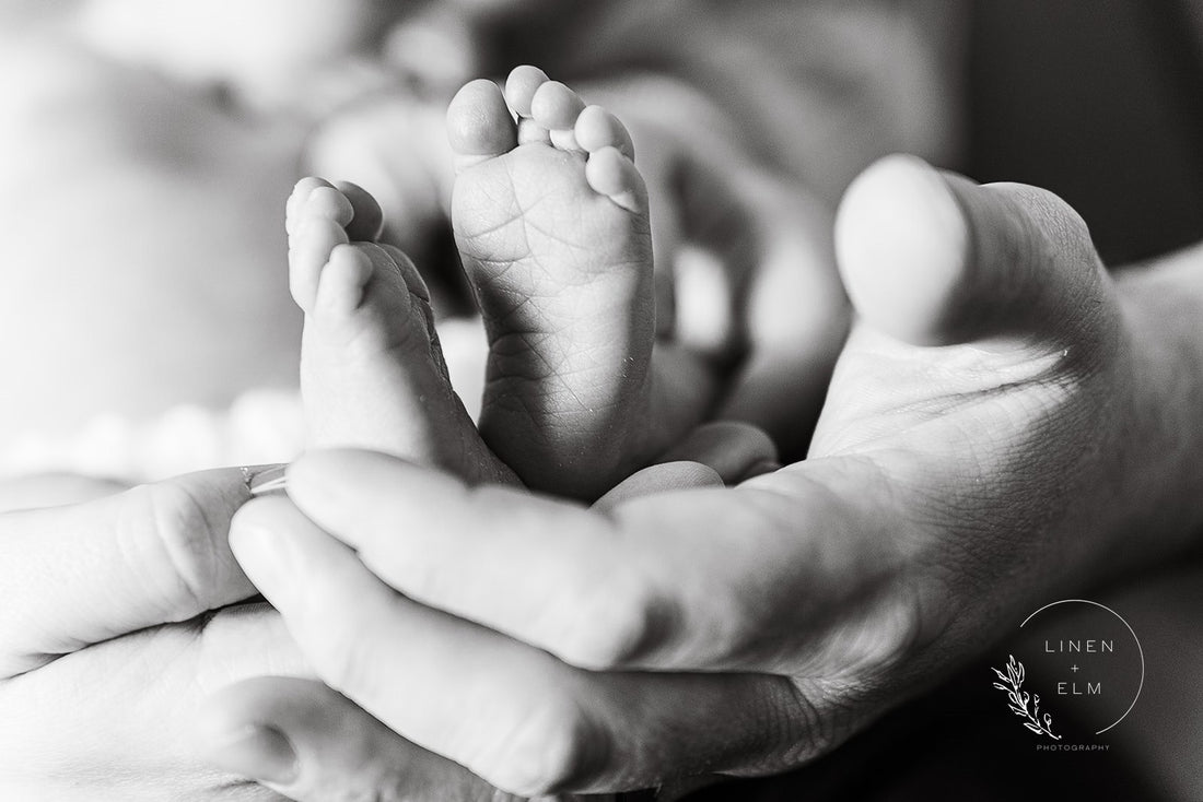 Newborn Photography Session: Baby Sophia