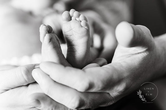 Newborn Photography Session: Baby Sophia