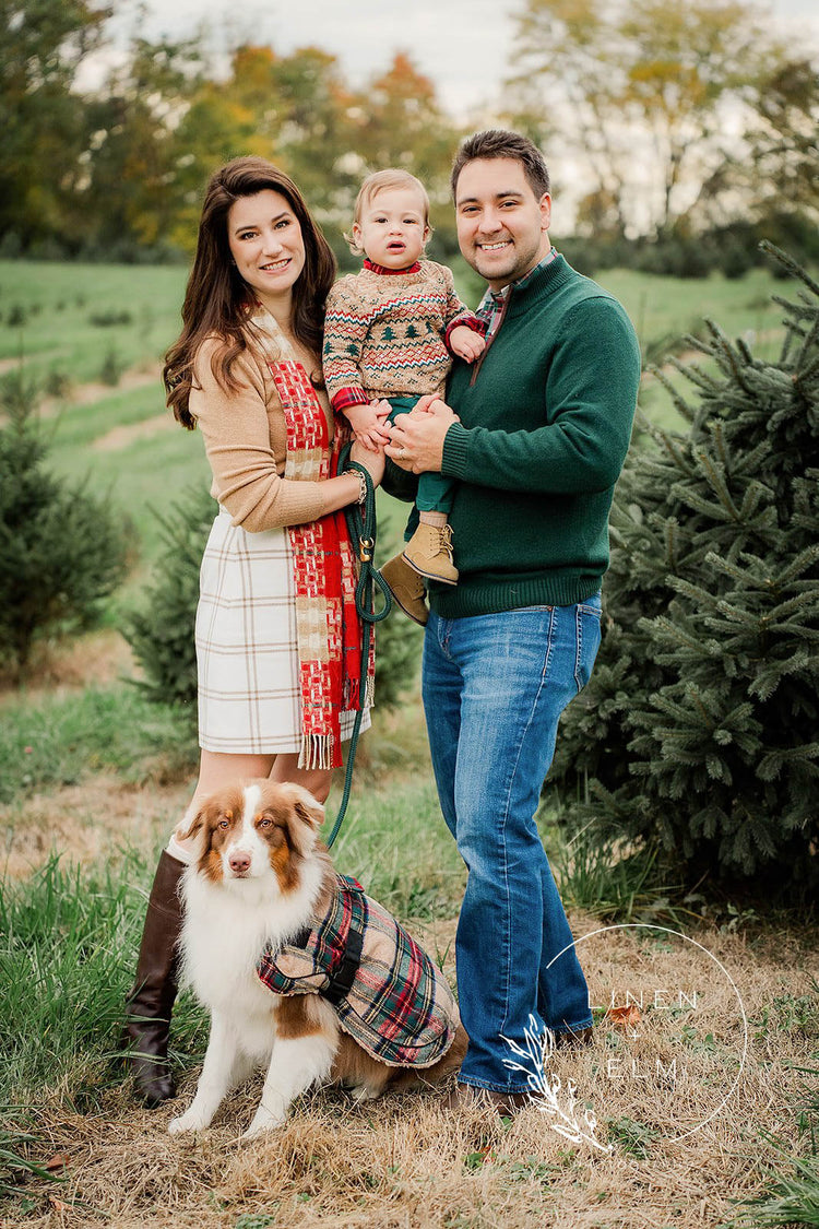 Mini Sessions