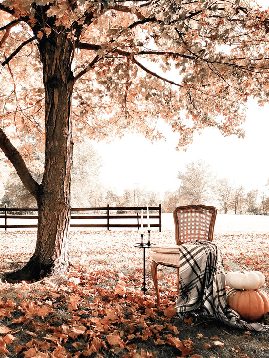 Family Photography By Linen & Elm Chair sitting under tree