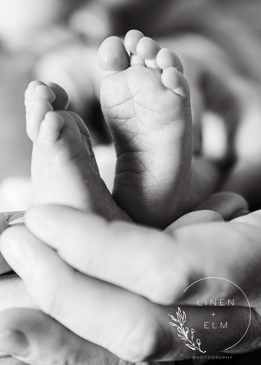 Maternity & Newborn