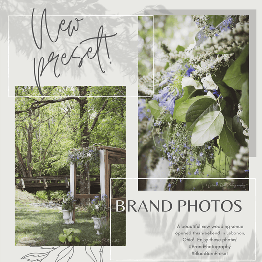 Instagram Puzzle Grid 9-Post Canva Template BRANCHING OUT